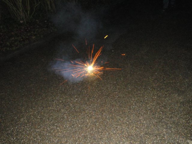 NWK 2010 034.jpg